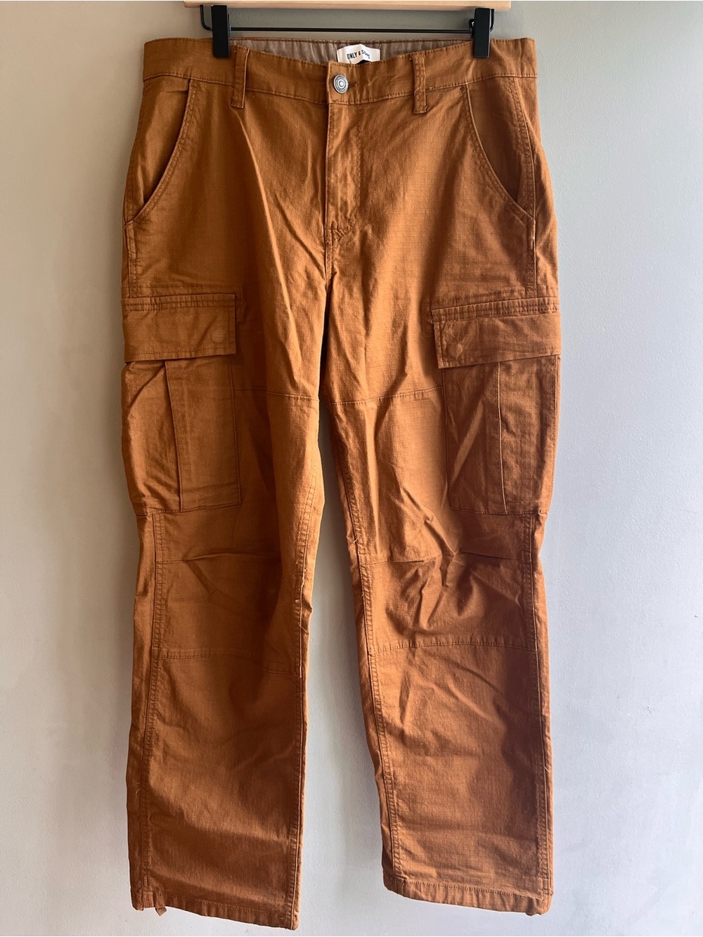 ONLY & SONS Men's Cargo Pants in Rust Brown Loose 31X32